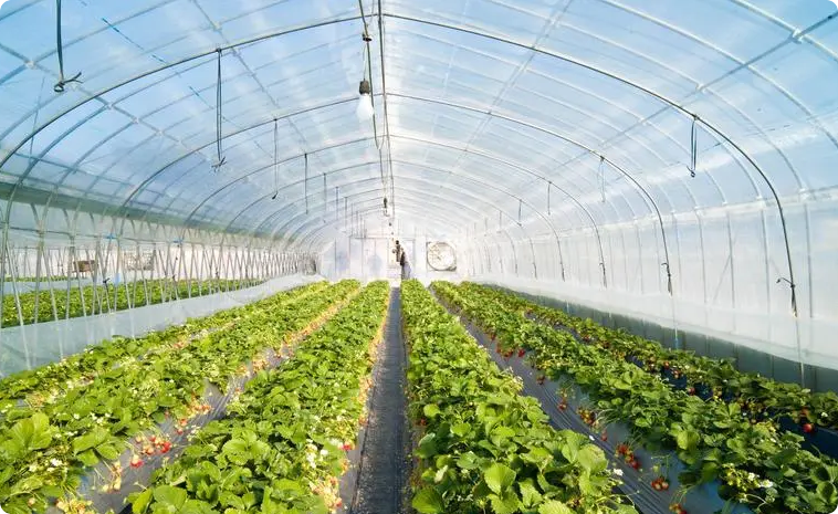 Unlocking the Power of Commercial Portable Dehumidifiers: 10 Key Benefits for Commercial Spaces