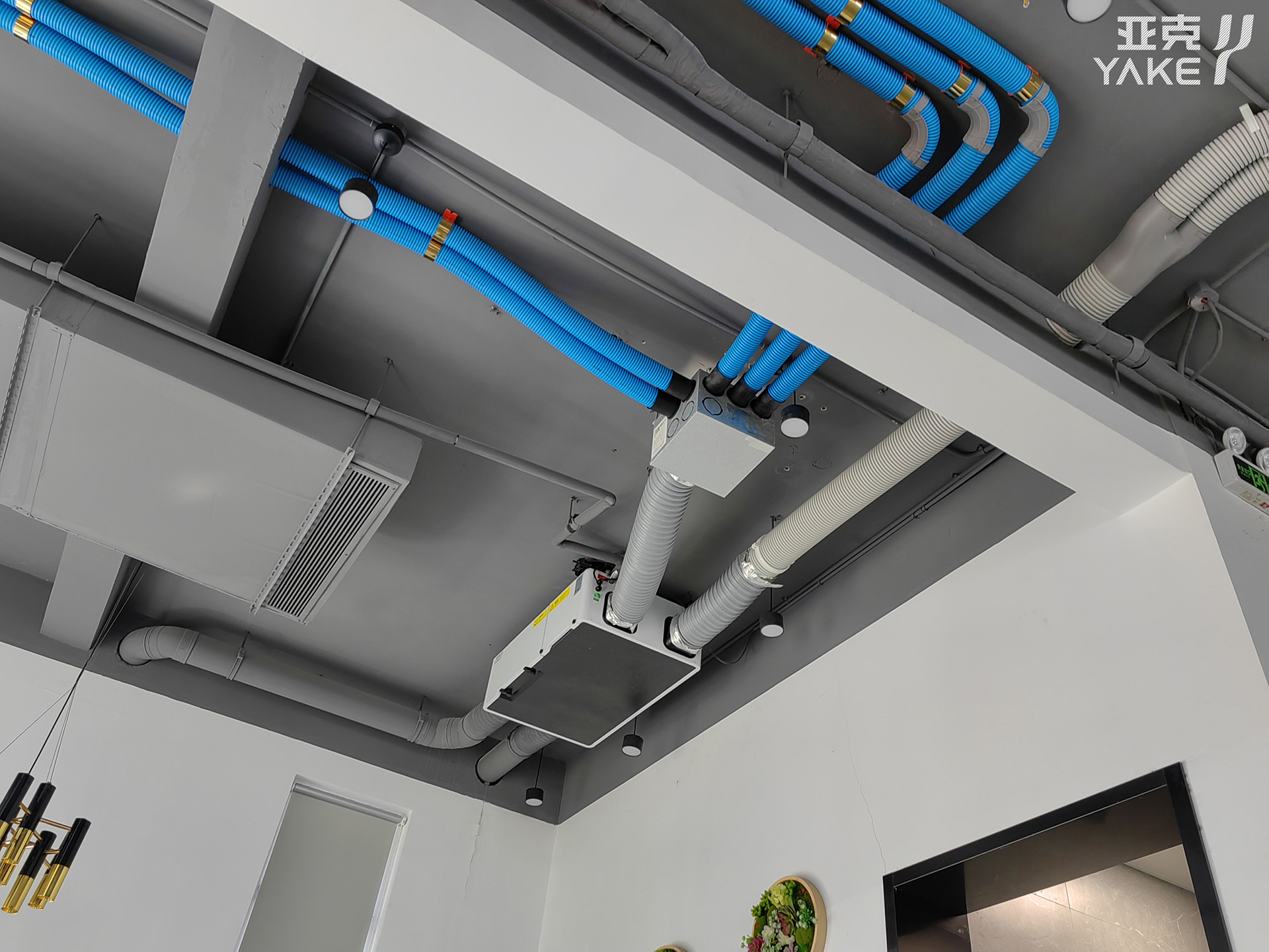 Ceiling Dehumidifiers for Various Applications